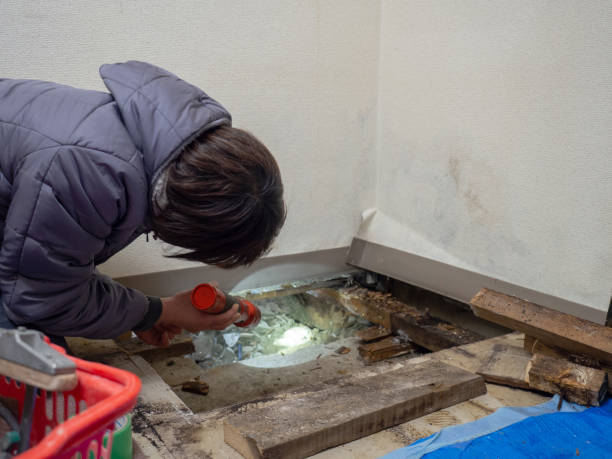 Mold Remediation for Vacation Homes in Flora, IL