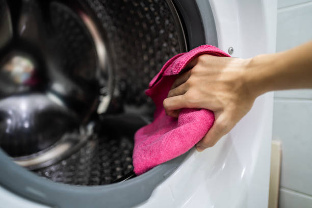 Best Mold Damage Restoration  in Flora, IL