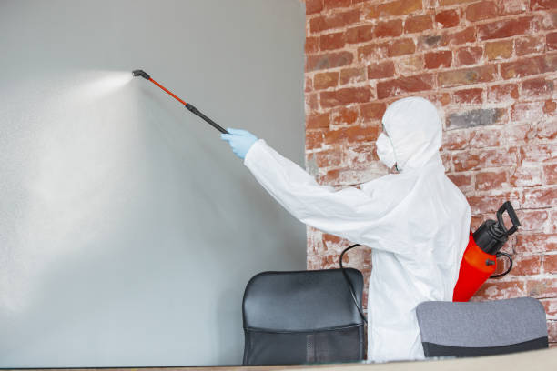 Best Water Damage & Mold Remediation  in Flora, IL