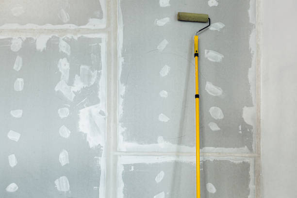 Best Attic Mold Removal  in Flora, IL