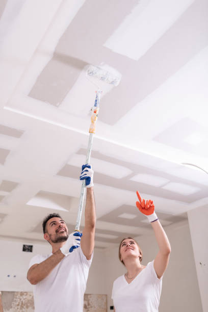 Best Commercial Mold Inspection  in Flora, IL