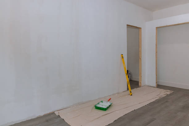 Best Post-Construction Mold Inspection  in Flora, IL