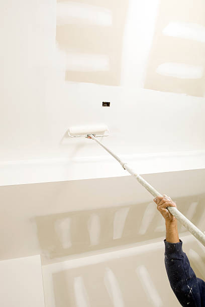 Best Mold Documentation for Insurance Claims  in Flora, IL
