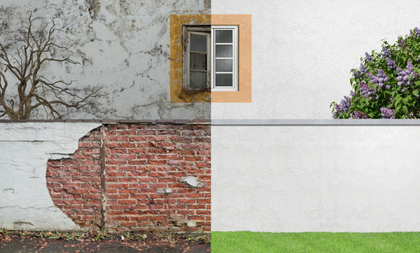 Best Basement Mold Removal  in Flora, IL